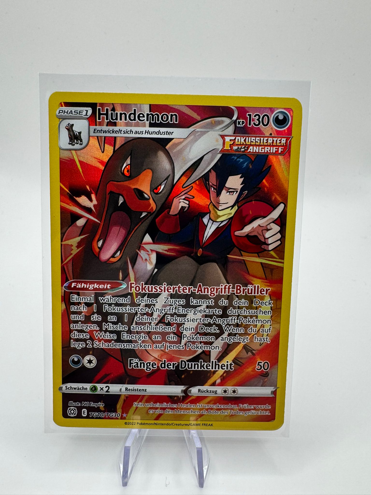 Hundemon | Trainer-Galerie | TG10/TG30 | Strahlende Sterne | DE