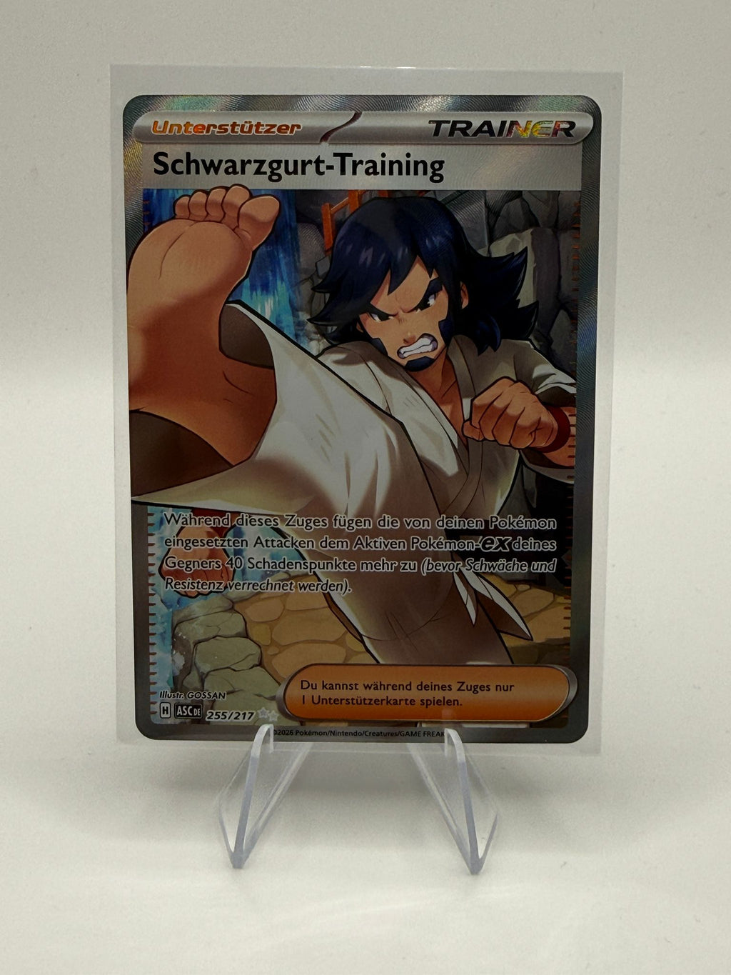 Schwarzgurt-Training | Full Art Trainer | 255/217 | Erhabene Helden| DE