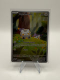 Togedemaru | Illustration Rare | 104/094 | Fatale Flammen | DE